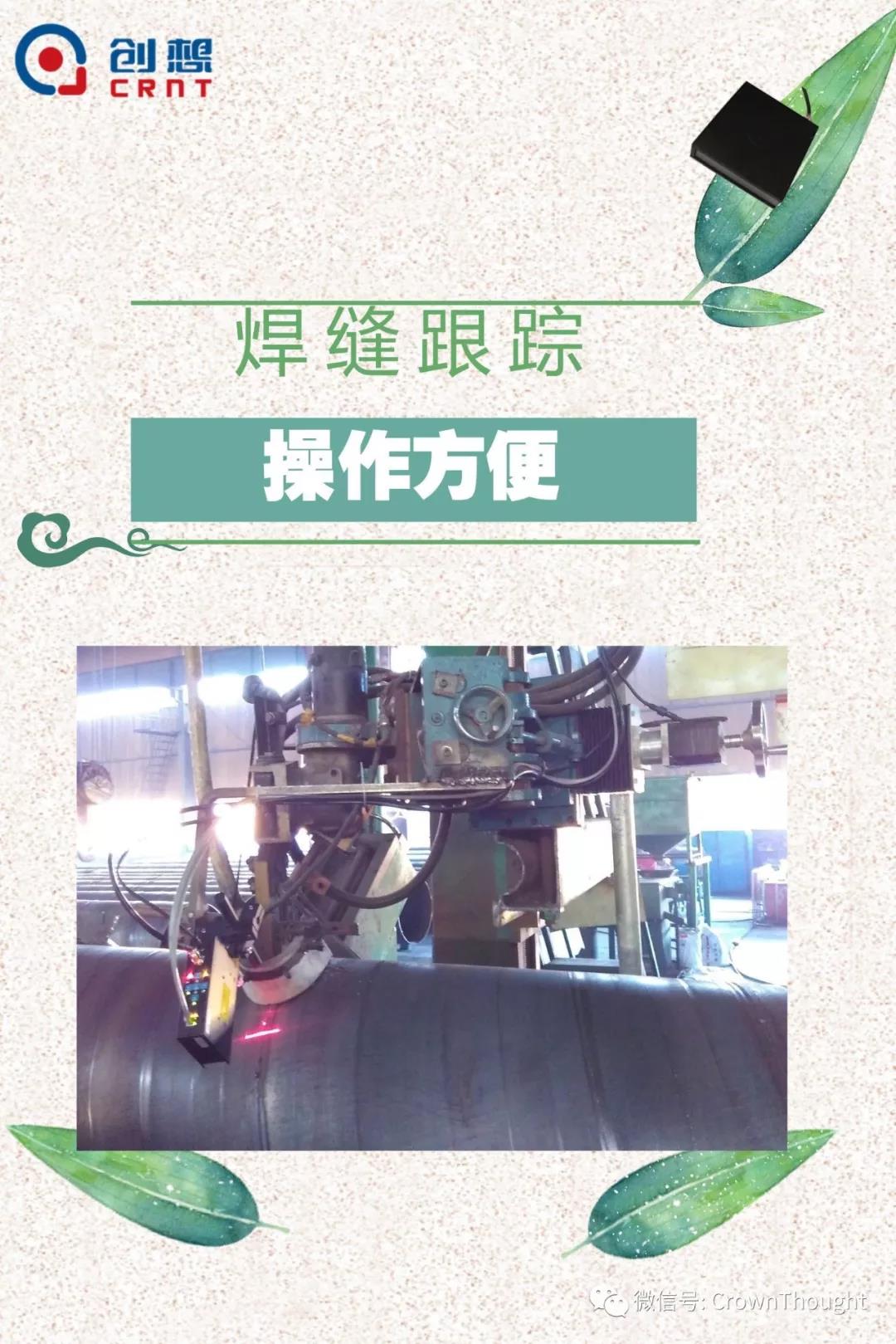 粽葉帶來(lái)的不僅僅是粽子，還有...